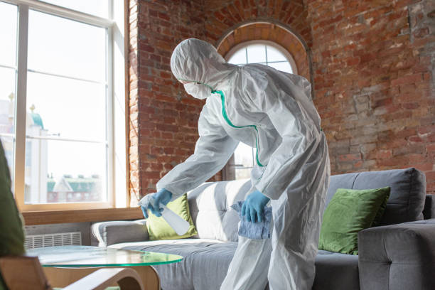 Best Environmental Consulting for Mold Prevention  in Uniondale, NY