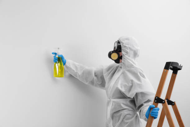 Best Biohazard Mold Removal  in Uniondale, NY